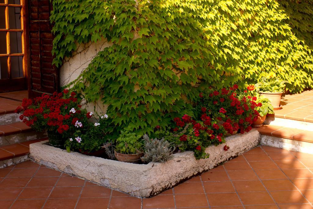 Casa Del Falso Pepe - Scala Dei Turchi 레알몬테 외부 사진