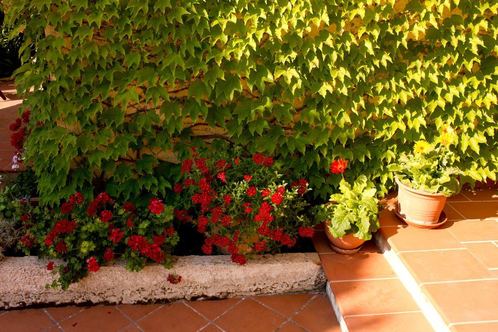 Casa Del Falso Pepe - Scala Dei Turchi 레알몬테 외부 사진